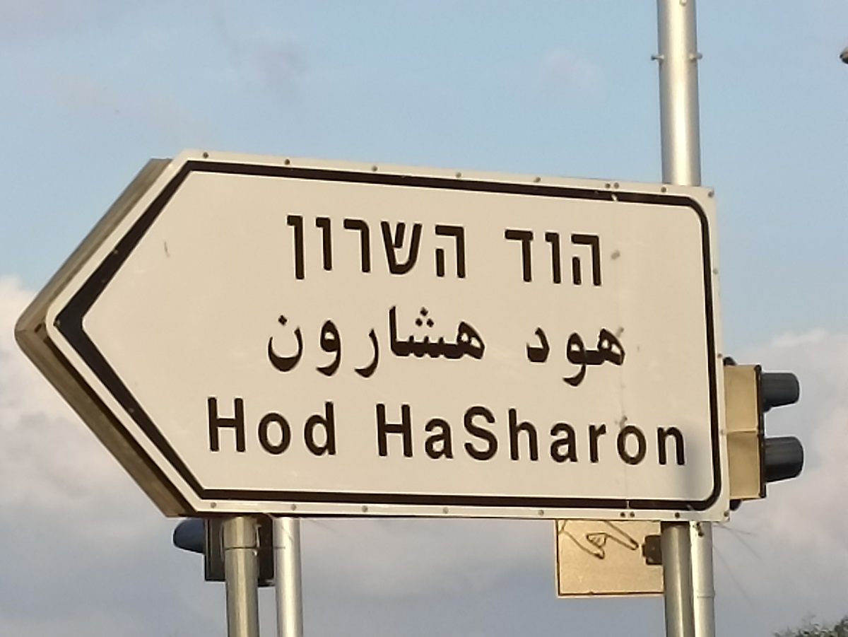 תמונת_מאמר